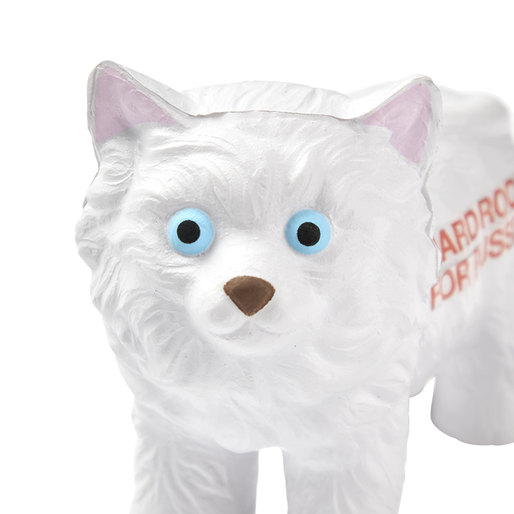 Hard Rock For Pussies Stress Ball Cat Front